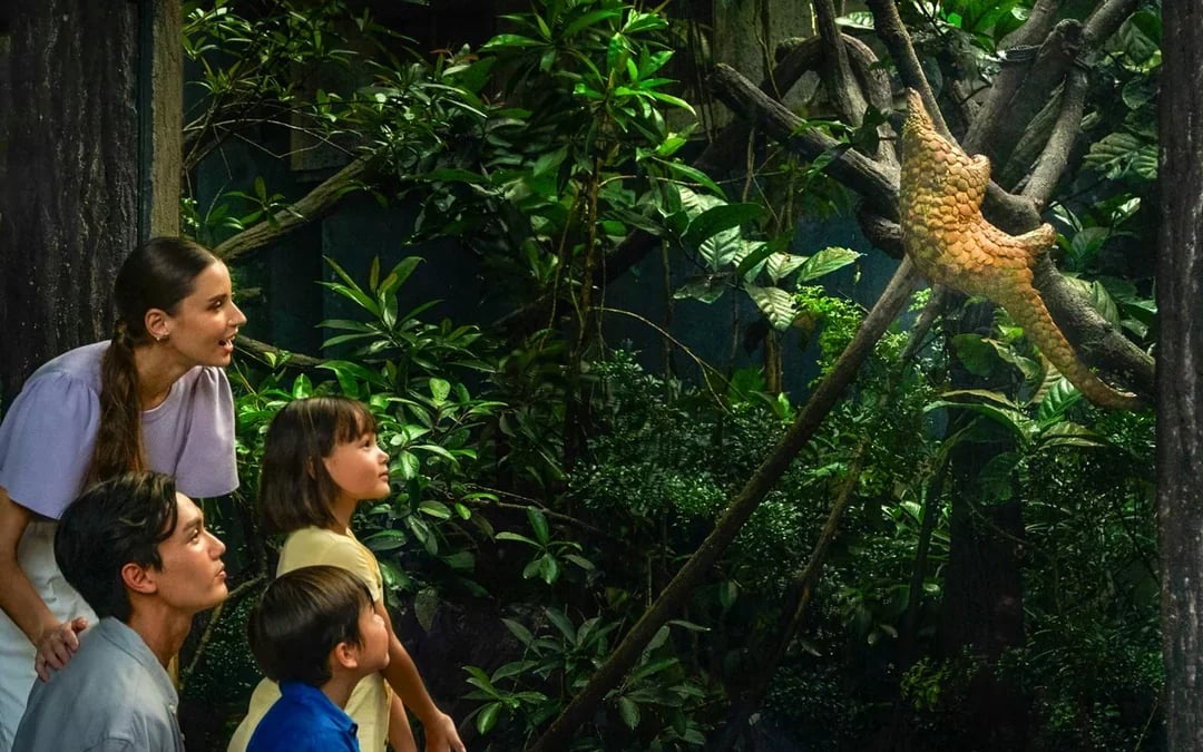 Night Safari Tickets | Mandai Wildlife Reserve Image 8