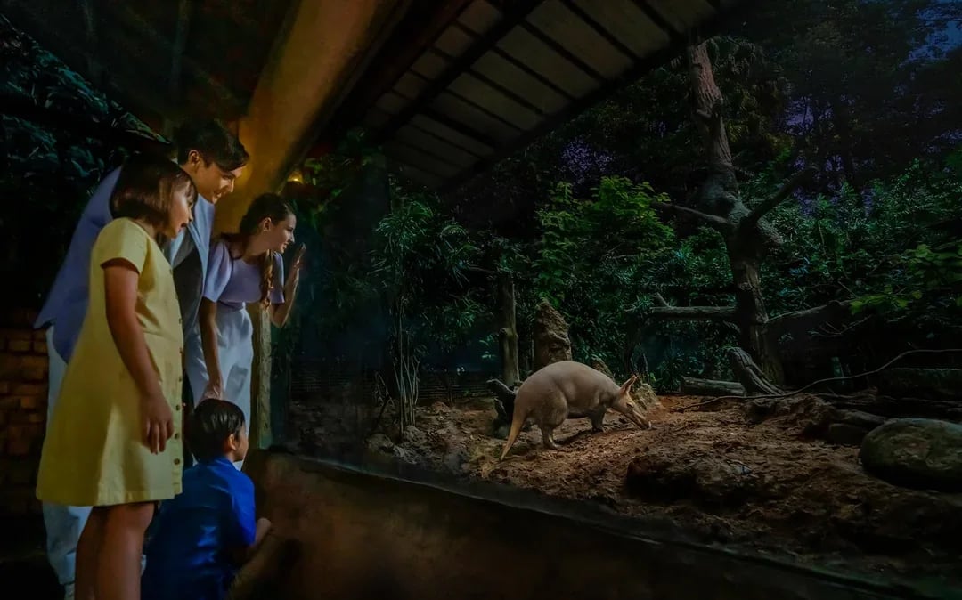 Night Safari Tickets | Mandai Wildlife Reserve Image 9