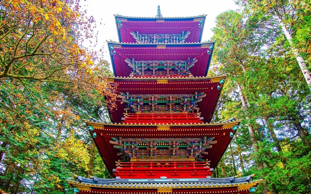 Nikko Private Guided Tour with Lunch & Hotel Transfers Image 7
