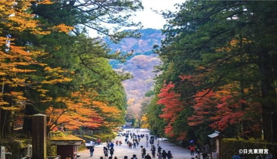 Nikko Toshogu Shrine Ticket | Tochigi’s UNESCO World Heritage Site
