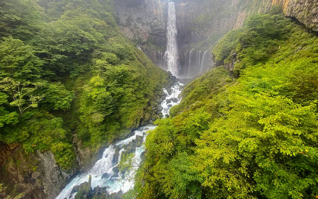 Nikko World Heritage Site Day Tour: Tōshōgū Shrine, Kegon Falls, Lake Chūzenji, & More Image 4