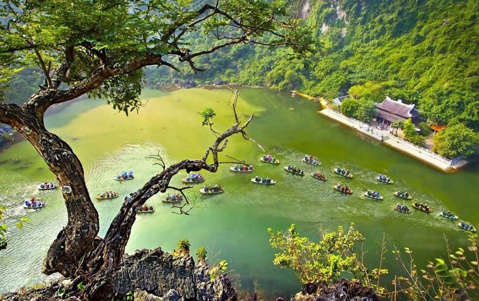 Ninh Binh Day Tour: Hoa Lu - Trang An with Cycling | From Hanoi, Vietnam