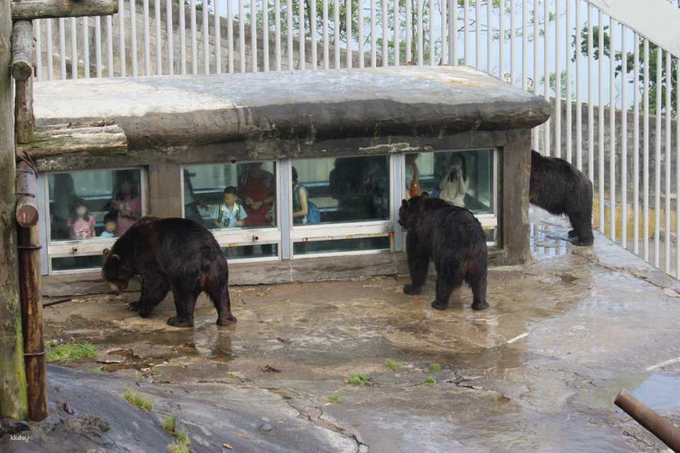 Noboribetsu Bear Park Ticket | Hokkaido