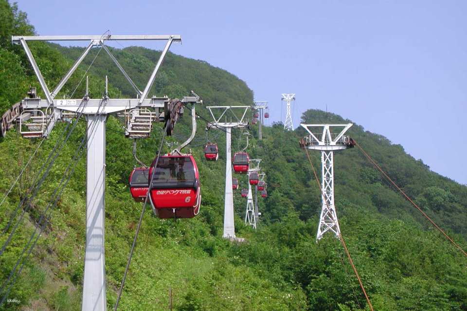 Noboribetsu Bear Park Ticket | Hokkaido