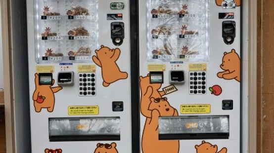 Noboribetsu Bear Park