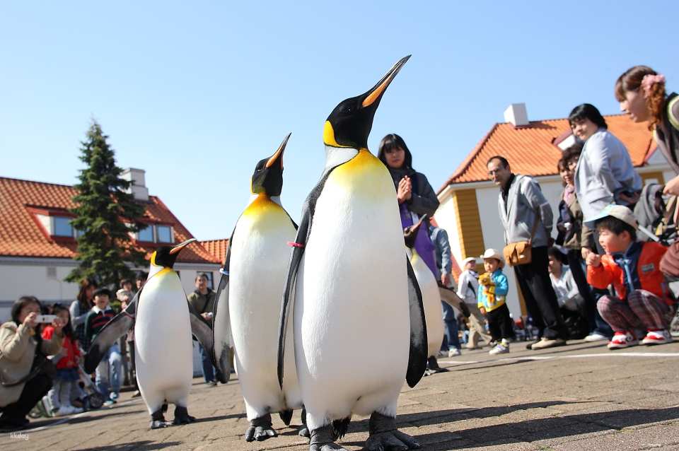 Noboribetsu Marine Park Nixe Admission Ticket in Hokkaido | Japan