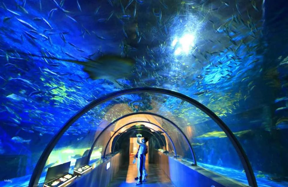 Noboribetsu Marine Park Nixe Admission Ticket in Hokkaido | Japan
