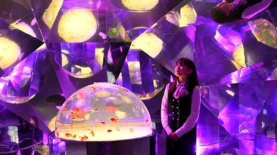 Noboribetsu Marine Park Nixe experience image 3