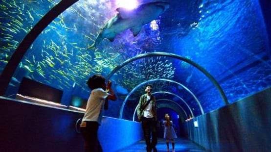 Noboribetsu Marine Park Nixe