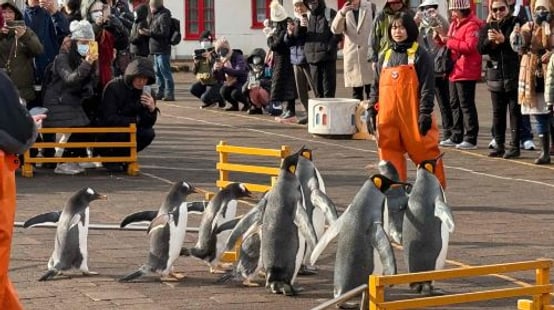 Noboribetsu Marine Park Nixe