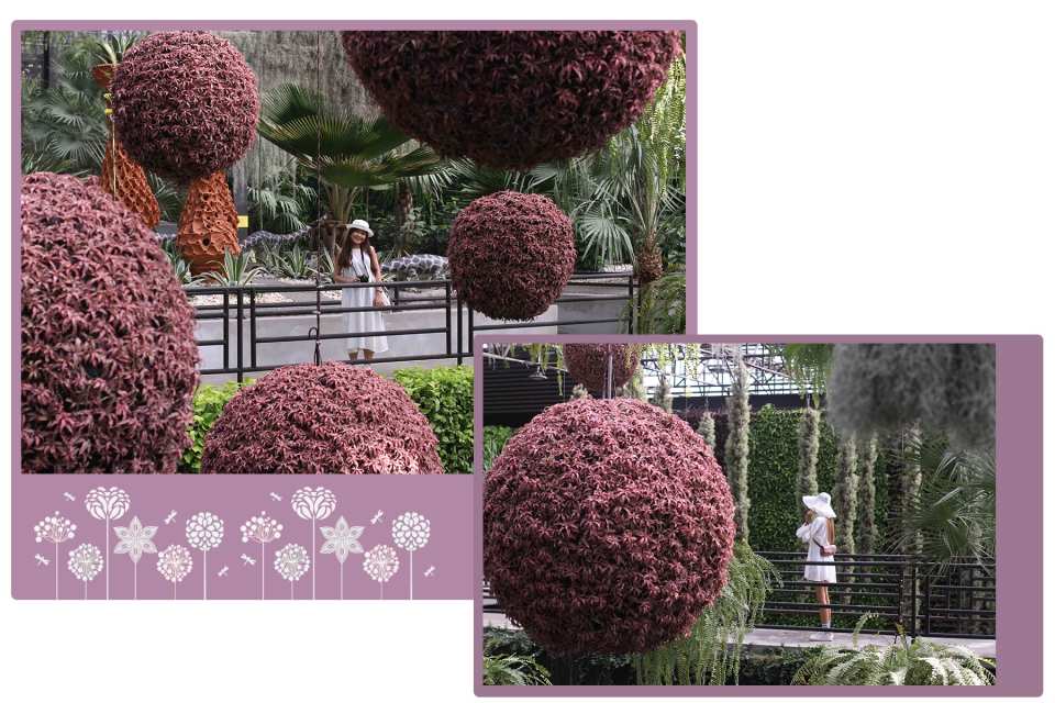Nong Nooch Tropical Garden Admission Ticket | Pattaya