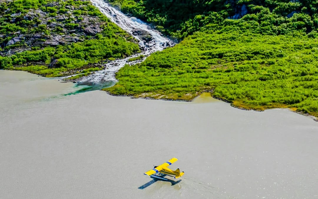 Norris Glacier Seaplane, Paddle and Guided Hike Tour Image 2