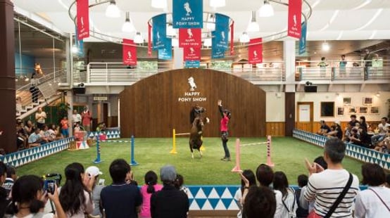 Northern Horse Park