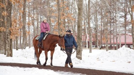 Northern Horse Park