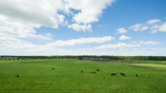 Northern Horse Park
