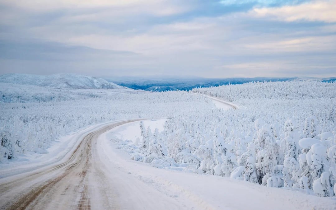 Northern Lights & Arctic Circle Tour Image 3
