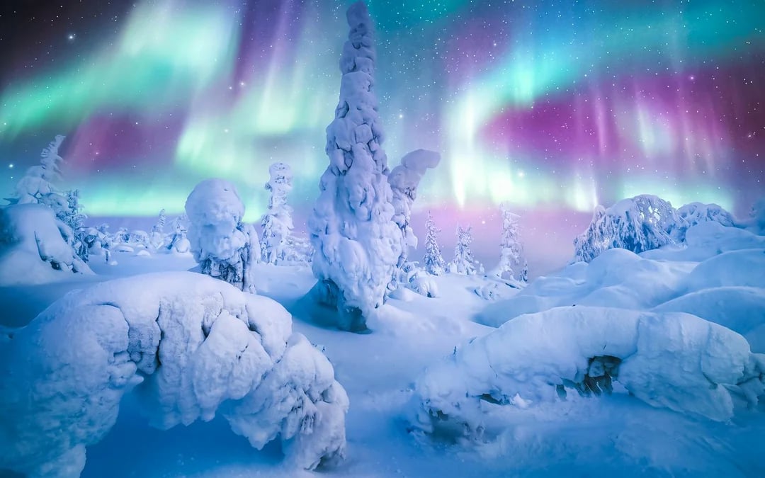 Northern Lights & Arctic Circle Tour Image 5