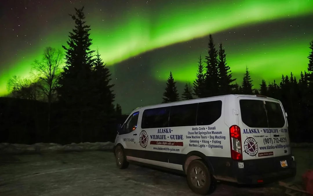 Northern Lights & Arctic Circle Tour Image 6