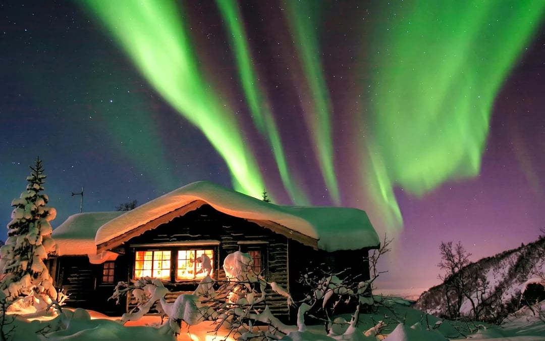 Northern Lights and Chena Hot Springs Tour Image 1