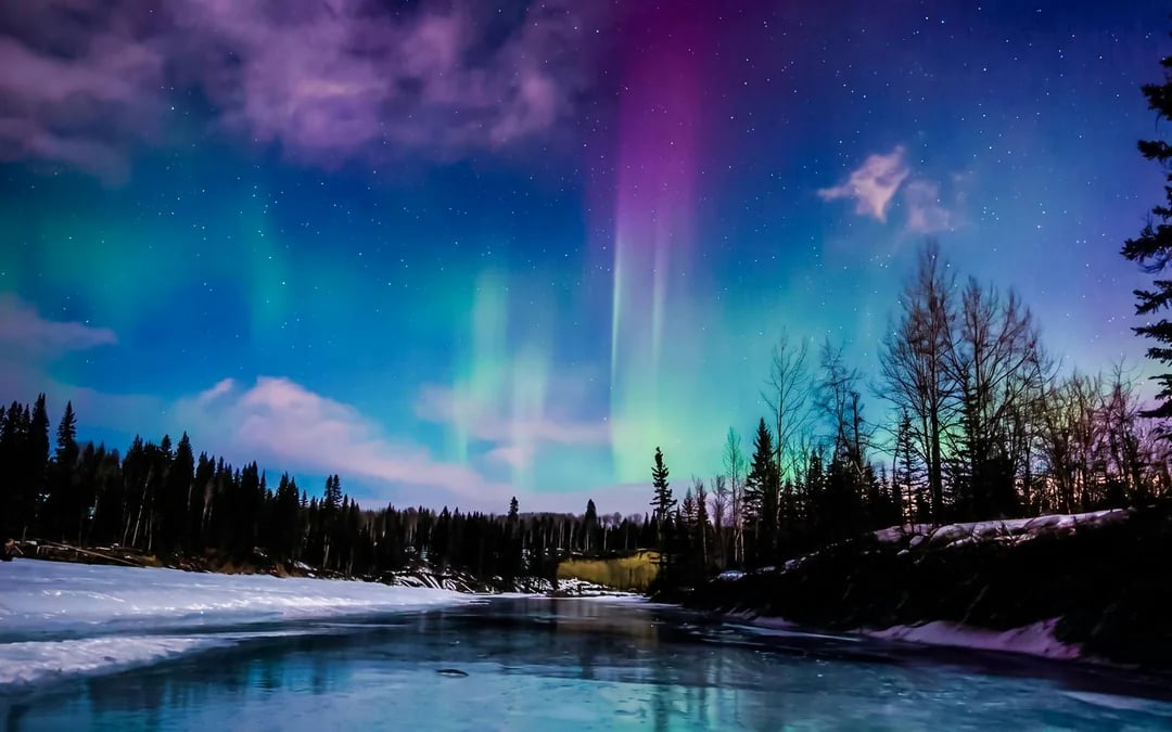 Northern Lights and Chena Hot Springs Tour Image 2