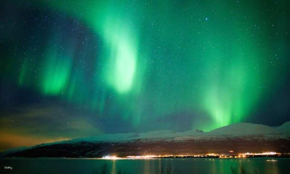 Northern lights by boat