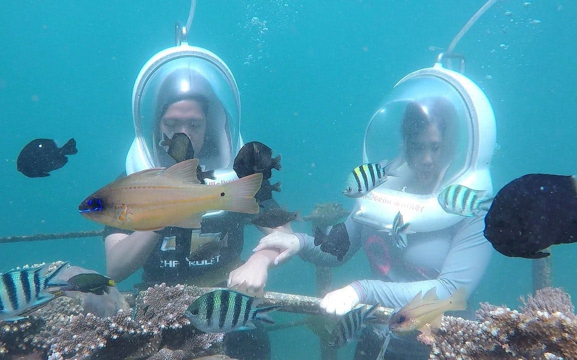 Nusa Dua Sea Walker Underwater Experience and Transfers Image 2