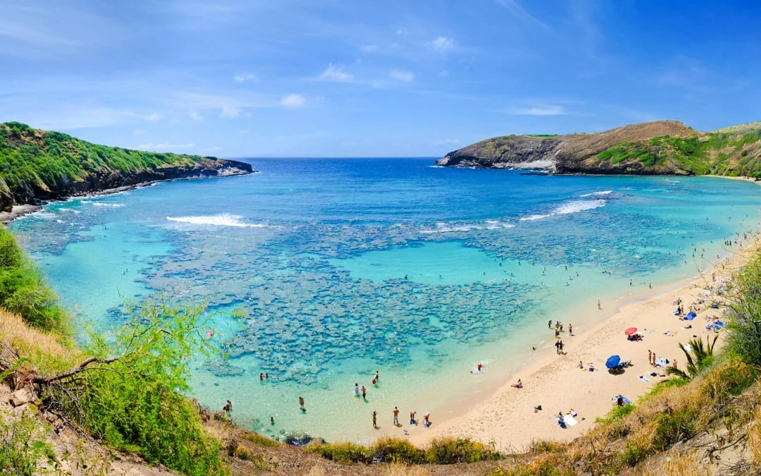 Oahu Grand Circle Island Tour with Hanauma Bay Admission Image 1