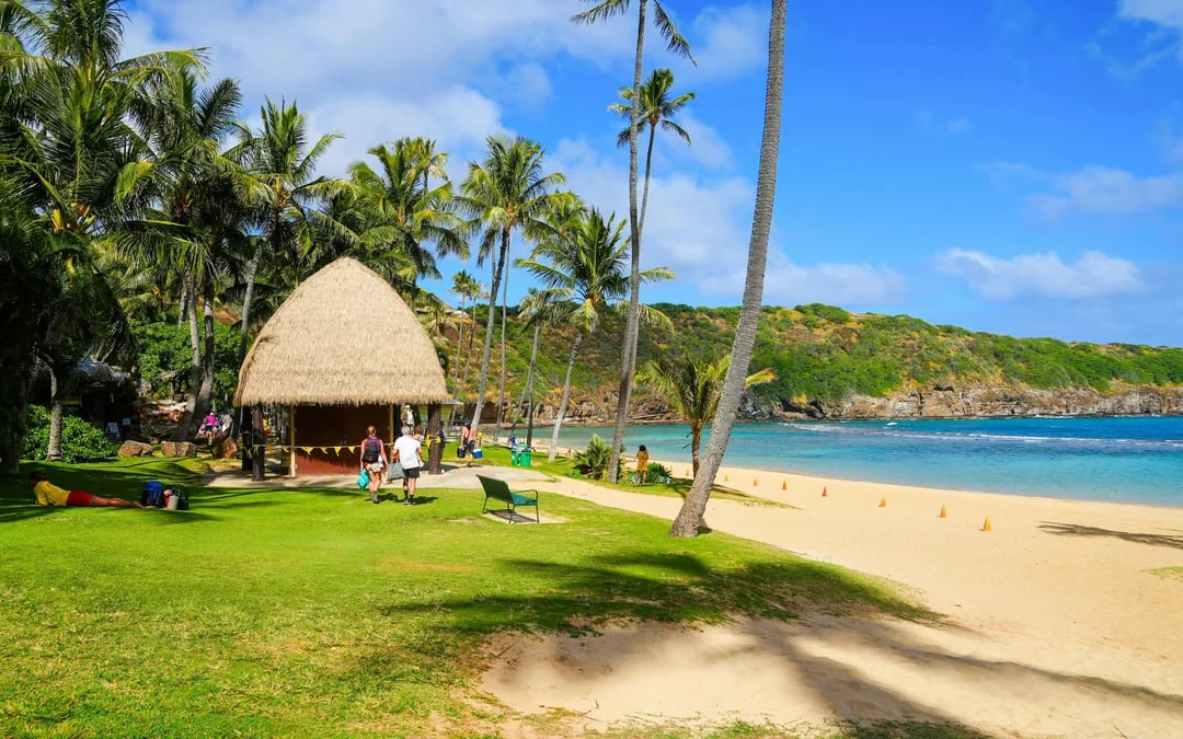 Oahu Grand Circle Island Tour with Hanauma Bay Admission Image 2