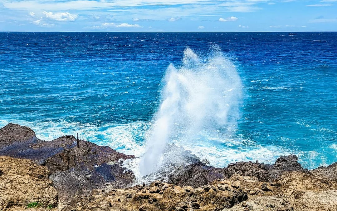 Oahu Grand Circle Island Tour with Hanauma Bay Admission Image 4