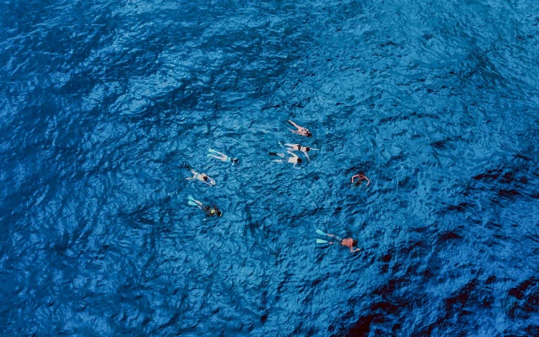 Oahu In-Cage Shark Cage Diving Guided Tour Image 5
