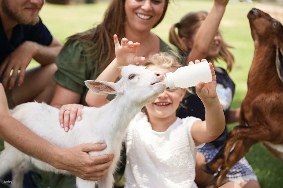 Oakvale Wildlife Park in Port Stephens | New South Wales