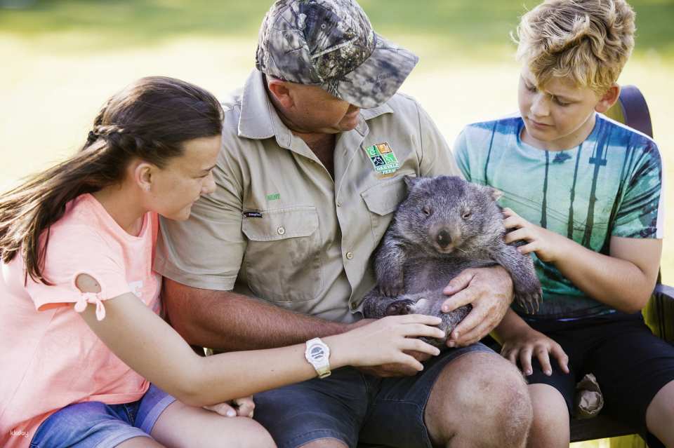 Oakvale Wildlife Park in Port Stephens | New South Wales