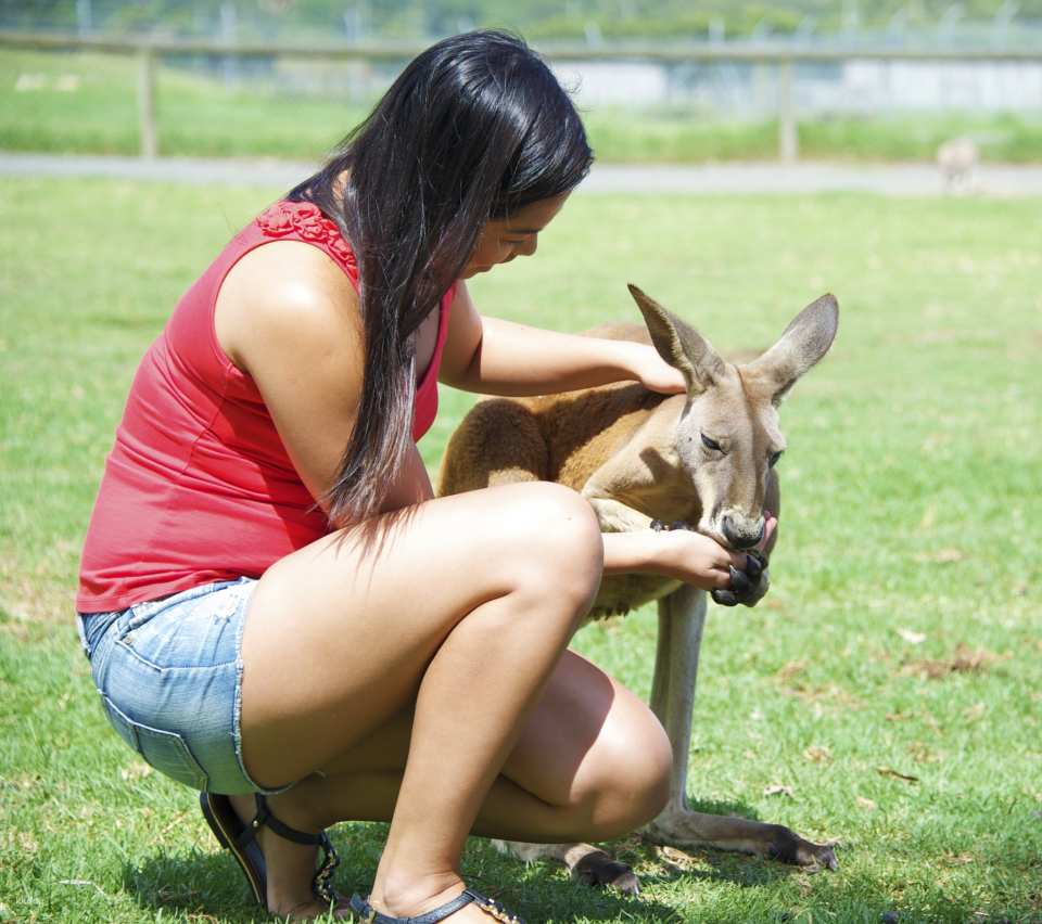 Oakvale Wildlife Park in Port Stephens | New South Wales