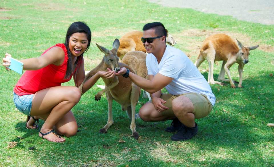 Oakvale Wildlife Park in Port Stephens | New South Wales