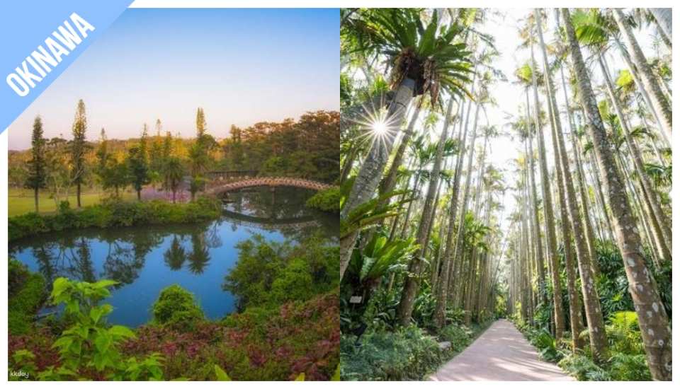 (OCBT binding only - cannot be queried) Have Fun in Okinawa 1 Week Free Pass (Okinawa Super Value Package Discount)