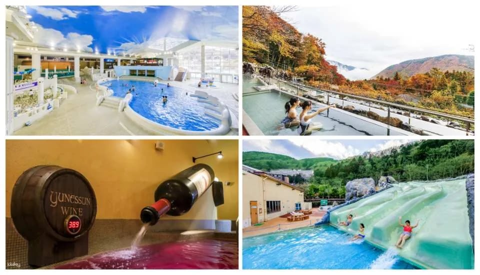 (OCBT binding only - cannot be queried) Kanto Super Value Package | Have Fun in Tokyo 1 Week Free Pass