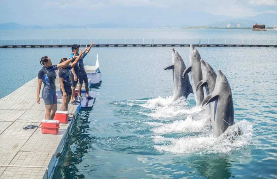 Ocean Adventure, Subic Bay in Manila | Phillippines