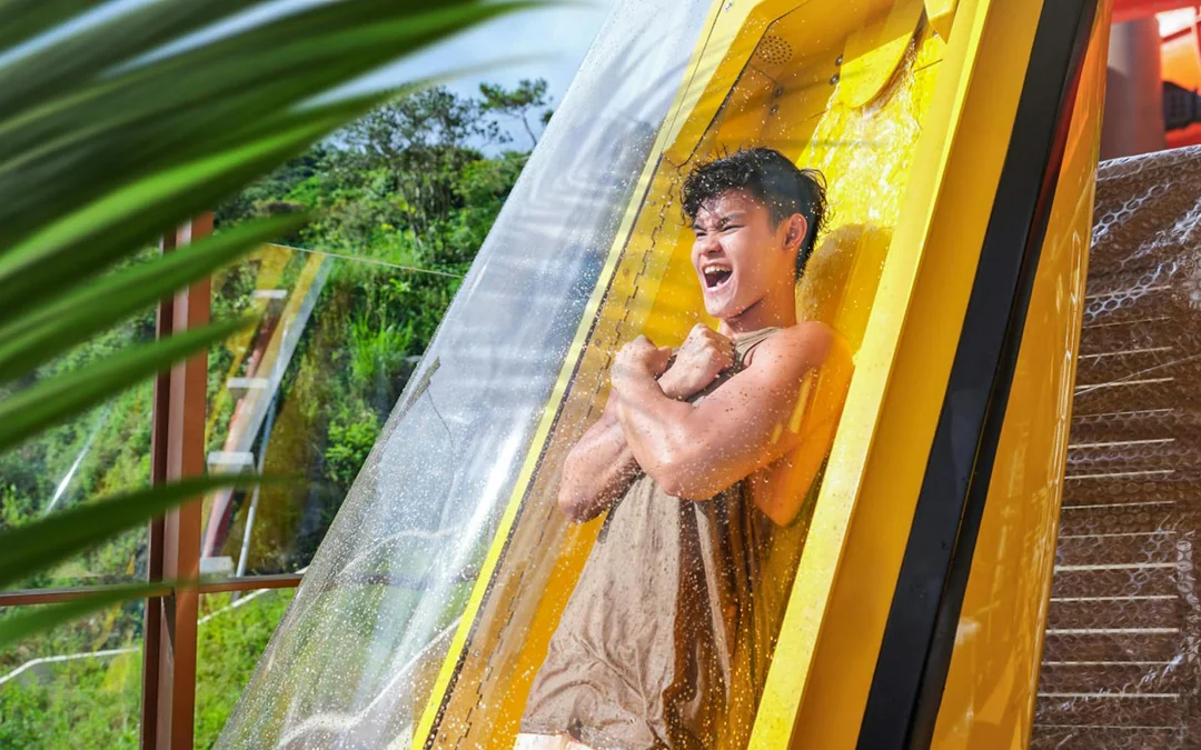 Ocean Park: 1-Day Pass + FasTrack Pro Tickets Image 3