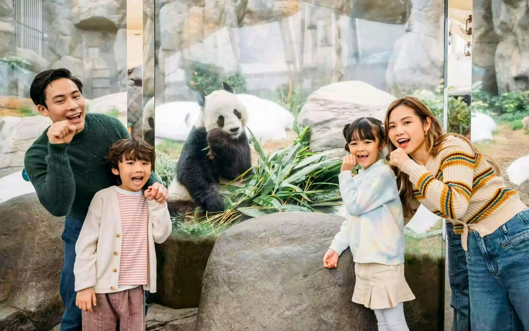 Ocean Park Ticket with Exclusive Giant Panda Twins Encounter Image 1