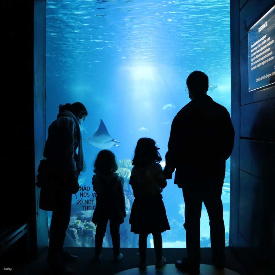 Oceanário de Lisboa Ticket |Lisbon