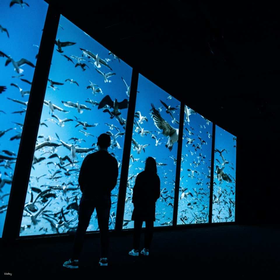 Oceanário de Lisboa Ticket |Lisbon
