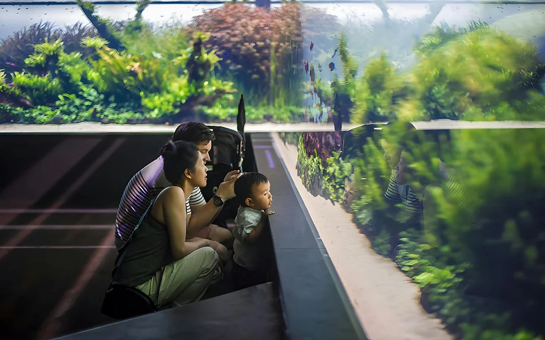 Oceanário de Lisboa Tickets Image 1