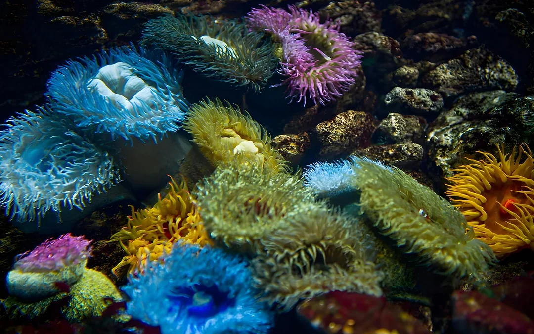 Oceanário de Lisboa Tickets Image 11