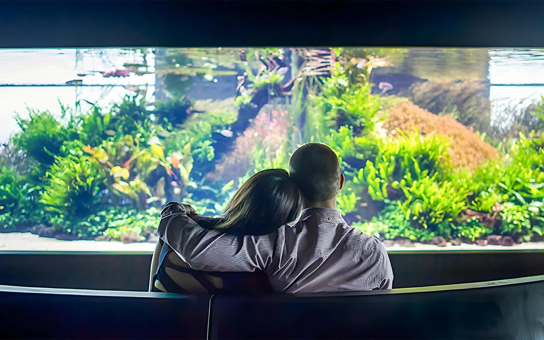 Oceanário de Lisboa Tickets Image 3