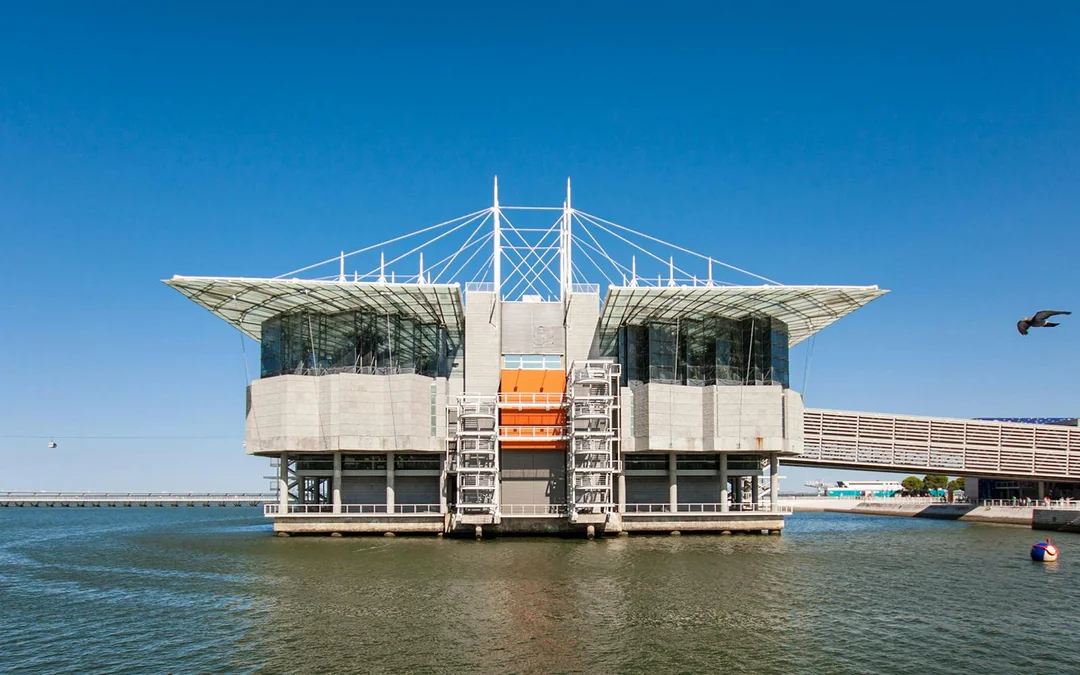 Oceanário de Lisboa Tickets Image 5