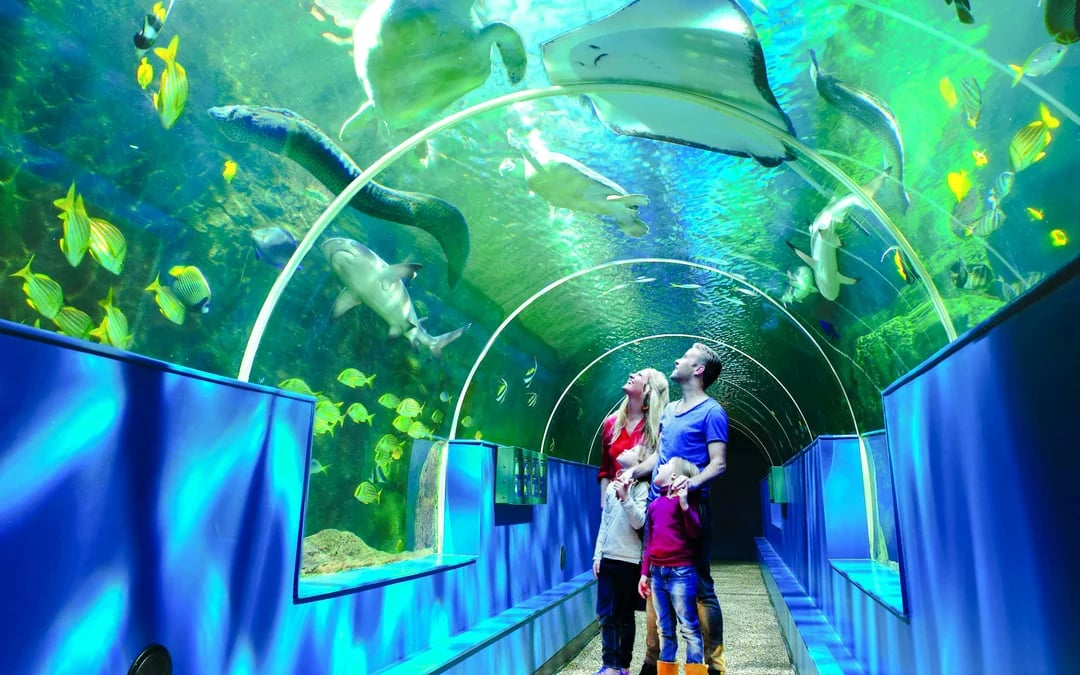 Oceanarium: The Bournemouth Aquarium Tickets Image 1