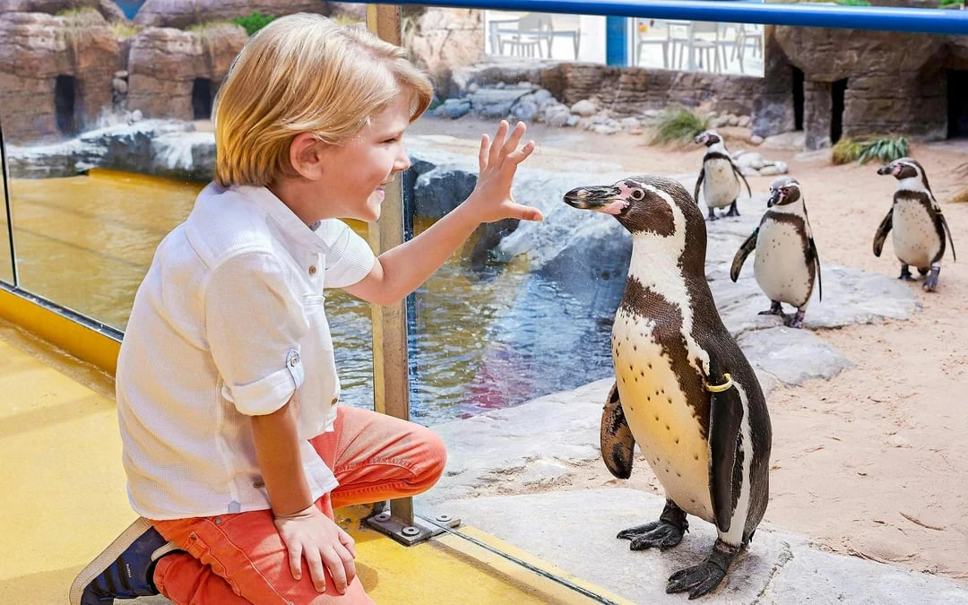 Oceanarium: The Bournemouth Aquarium Tickets Image 3
