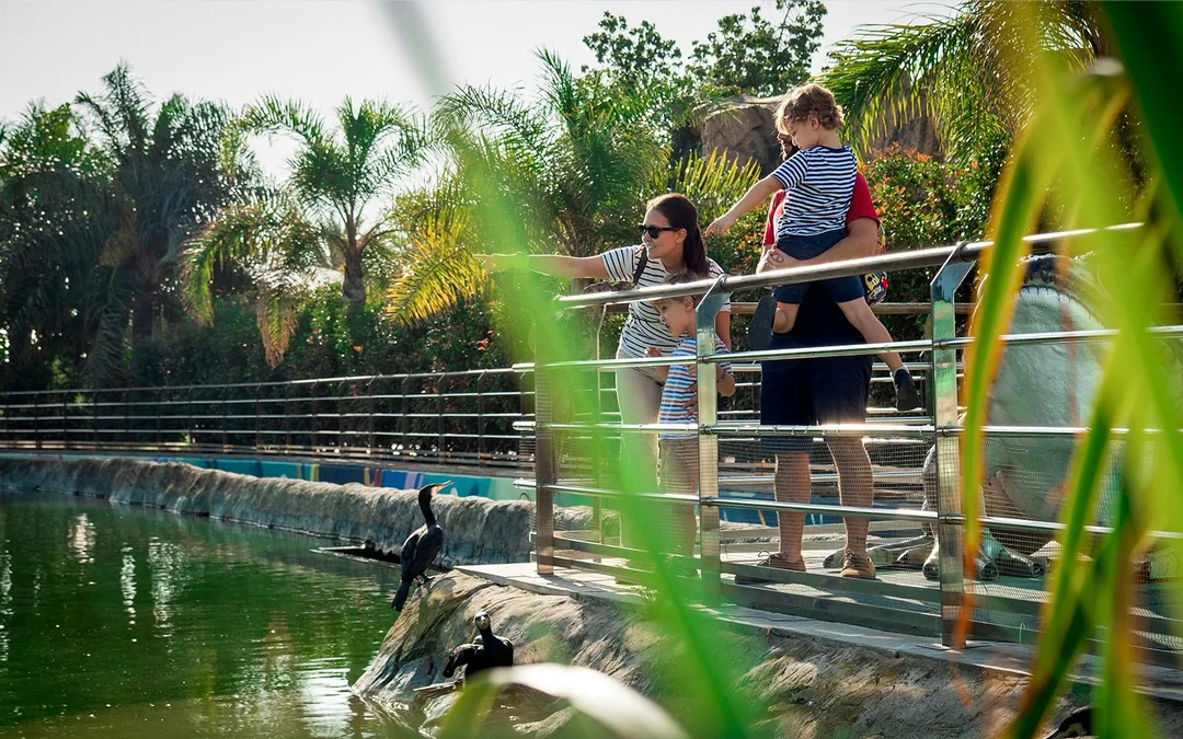 Oceanogràfic Tickets  Image 12