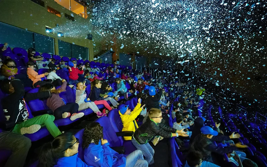 Oceanogràfic Tickets  Image 5