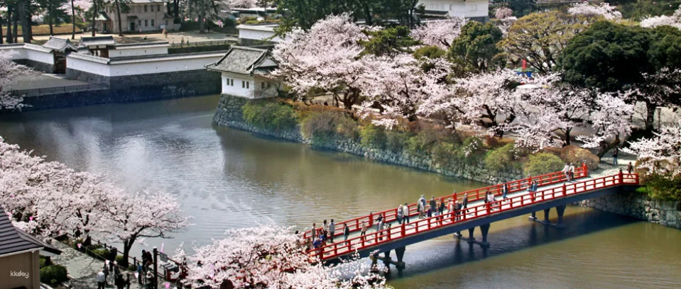 Odawara, Kanagawa Prefecture, Japan | Odawara Castle Keep + Tokiwa Gate SAMURAI Museum E-ticket